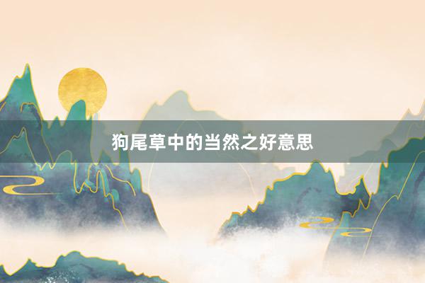 狗尾草中的当然之好意思